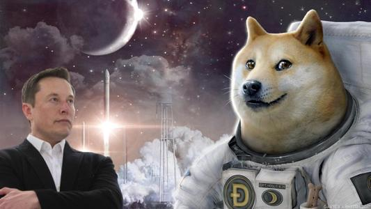 Mars Rabbit, a new BSC deployed DEFI + NFT blockchain project roaring across the horizon- the next generation community token that is positioned to surpass Dogecoin
